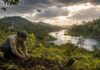 Biodiversidade perde espaço na economia, e OCDE aponta bilhões em subsídios que ainda financiam danos Biodiversidade perde espaço na economia, e OCDE aponta bilhões em subsídios que ainda financiam danos