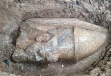 Morador do Delta do Nilo acha bloco e revela cabeça colossal de Ramsés II de uma estátua que teria 8,5 metros Morador do Delta do Nilo acha bloco e revela cabeça colossal de Ramsés II de uma estátua que teria 8,5 metros