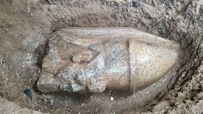 Morador do Delta do Nilo acha bloco e revela cabeça colossal de Ramsés II de uma estátua que teria 8,5 metros Morador do Delta do Nilo acha bloco e revela cabeça colossal de Ramsés II de uma estátua que teria 8,5 metros