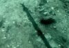 Espada de mais de 3 mil anos sai do fundo de um lago na Itália com a lâmina ainda afiada, ao lado de uma vila de palafitas submersa Espada de mais de 3 mil anos sai do fundo de um lago na Itália com a lâmina ainda afiada, ao lado de uma vila de palafitas submersa