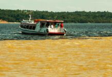 Por que o rio Negro é preto? A cor sai de solos de areia branca que levaram milhares de anos para se formar sob a floresta Por que o rio Negro é preto? A cor sai de solos de areia branca que levaram milhares de anos para se formar sob a floresta