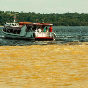 Por que o rio Negro é preto? A cor sai de solos de areia branca que levaram milhares de anos para se formar sob a floresta Por que o rio Negro é preto? A cor sai de solos de areia branca que levaram milhares de anos para se formar sob a floresta