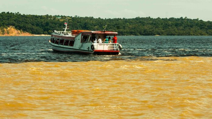 Por que o rio Negro é preto? A cor sai de solos de areia branca que levaram milhares de anos para se formar sob a floresta Por que o rio Negro é preto? A cor sai de solos de areia branca que levaram milhares de anos para se formar sob a floresta