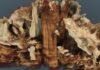 Há 10.500 anos, caçadores espetaram o crânio de um auroque numa estaca ao lado de um túmulo; a tomografia achou a madeira escondida dentro do osso Há 10.500 anos, caçadores espetaram o crânio de um auroque numa estaca ao lado de um túmulo; a tomografia achou a madeira escondida dentro do osso