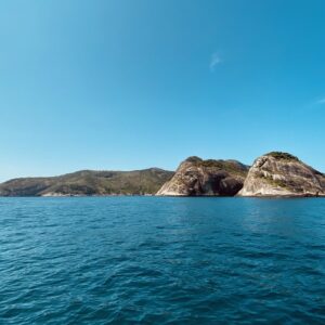 Alcatrazes já foi alvo de tiros da Marinha; dez anos depois de virar refúgio, o arquipélago de SP virou lugar de acasalamento de um tubarão criticamente ameaçado Alcatrazes já foi alvo de tiros da Marinha; dez anos depois de virar refúgio, o arquipélago de SP virou lugar de acasalamento de um tubarão criticamente ameaçado