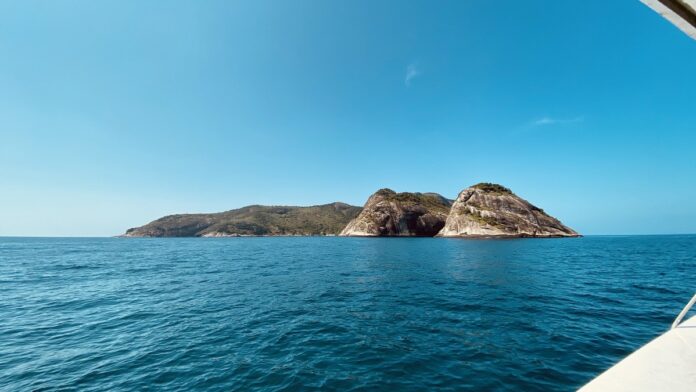 Alcatrazes já foi alvo de tiros da Marinha; dez anos depois de virar refúgio, o arquipélago de SP virou lugar de acasalamento de um tubarão criticamente ameaçado Alcatrazes já foi alvo de tiros da Marinha; dez anos depois de virar refúgio, o arquipélago de SP virou lugar de acasalamento de um tubarão criticamente ameaçado
