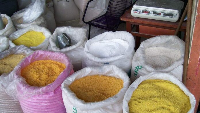 Farinha d'água passa até quatro dias de molho, e não é capricho: a fermentação derruba em 80% o veneno da mandioca brava antes do forno Farinha d'água passa até quatro dias de molho, e não é capricho: a fermentação derruba em 80% o veneno da mandioca brava antes do forno