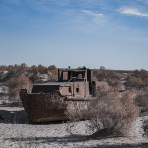O mar de Aral virou deserto; agora o Cazaquistão já plantou mais de 1 milhão de hectares de floresta no fundo seco do antigo lago O mar de Aral virou deserto; agora o Cazaquistão já plantou mais de 1 milhão de hectares de floresta no fundo seco do antigo lago