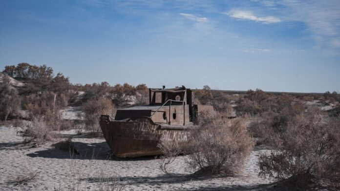 O mar de Aral virou deserto; agora o Cazaquistão já plantou mais de 1 milhão de hectares de floresta no fundo seco do antigo lago O mar de Aral virou deserto; agora o Cazaquistão já plantou mais de 1 milhão de hectares de floresta no fundo seco do antigo lago