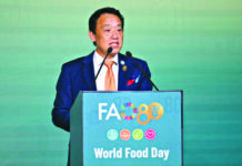Com 645 milhões de pessoas passando fome em 2025 e 2,69 bilhões sem acesso a dieta saudável, ONU escolhe a inovação como tema do Dia Mundial da Alimentação Com 645 milhões de pessoas passando fome em 2025 e 2,69 bilhões sem acesso a dieta saudável, ONU escolhe a inovação como tema do Dia Mundial da Alimentação