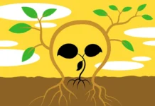 Plantas se afastam de material em decomposição, e nova descoberta revela como se protegem de micróbios do apodrecimento Plantas se afastam de material em decomposição, e nova descoberta revela como se protegem de micróbios do apodrecimento