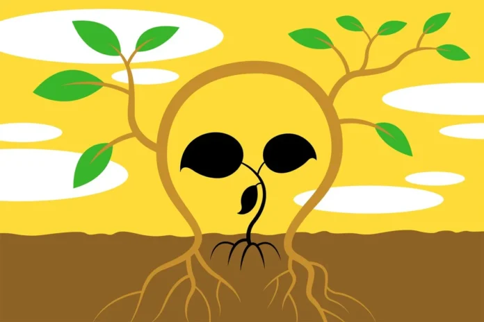 Plantas se afastam de material em decomposição, e nova descoberta revela como se protegem de micróbios do apodrecimento
