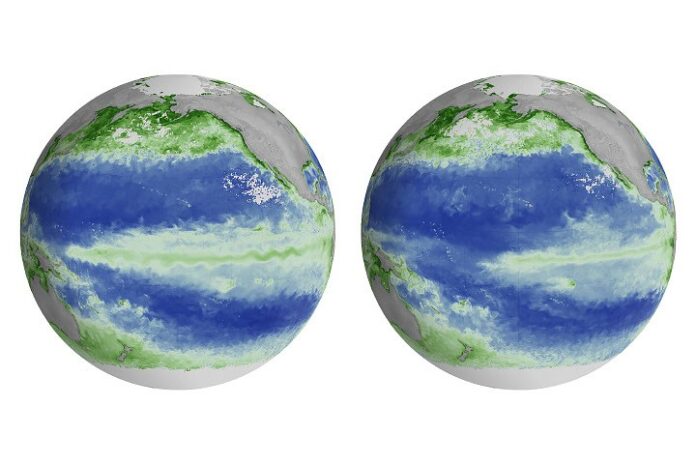 Satélite da NASA compara o Pacífico de junho de 2025 e junho de 2026 e mostra queda de fitoplâncton com o El Niño Satélite da NASA compara o Pacífico de junho de 2025 e junho de 2026 e mostra queda de fitoplâncton com o El Niño