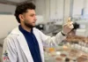Larvas de besouro do tucumã viram óleo medicinal no Marajó e pesquisadores comparam três formas de extração em estudo publicado na ACS Omega Larvas de besouro do tucumã viram óleo medicinal no Marajó e pesquisadores comparam três formas de extração em estudo publicado na ACS Omega