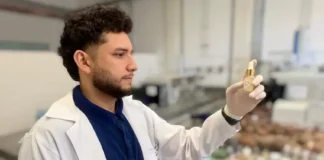 Larvas de besouro do tucumã viram óleo medicinal no Marajó e pesquisadores comparam três formas de extração em estudo publicado na ACS Omega Larvas de besouro do tucumã viram óleo medicinal no Marajó e pesquisadores comparam três formas de extração em estudo publicado na ACS Omega
