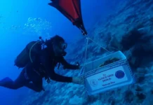 Pesquisadores localizam a 30 metros de profundidade na Turquia um navio de até 4.700 anos, com mais de 30 jarros e 3 âncoras de pedra Pesquisadores localizam a 30 metros de profundidade na Turquia um navio de até 4.700 anos, com mais de 30 jarros e 3 âncoras de pedra