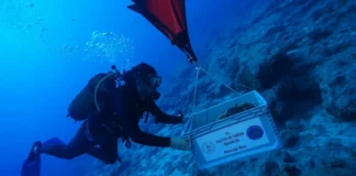 Pesquisadores localizam a 30 metros de profundidade na Turquia um navio de até 4.700 anos, com mais de 30 jarros e 3 âncoras de pedra Pesquisadores localizam a 30 metros de profundidade na Turquia um navio de até 4.700 anos, com mais de 30 jarros e 3 âncoras de pedra
