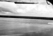 O rio que deixou de chegar ao mar: no Amapá, o Araguari mudou de rumo, a pororoca sumiu e 25 mil búfalos dentro de uma reserva estão no centro da explicação O rio que deixou de chegar ao mar: no Amapá, o Araguari mudou de rumo, a pororoca sumiu e 25 mil búfalos dentro de uma reserva estão no centro da explicação