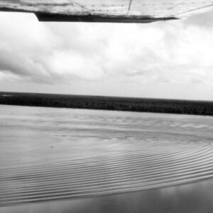 O rio que deixou de chegar ao mar: no Amapá, o Araguari mudou de rumo, a pororoca sumiu e 25 mil búfalos dentro de uma reserva estão no centro da explicação O rio que deixou de chegar ao mar: no Amapá, o Araguari mudou de rumo, a pororoca sumiu e 25 mil búfalos dentro de uma reserva estão no centro da explicação