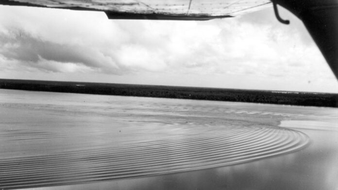 O rio que deixou de chegar ao mar: no Amapá, o Araguari mudou de rumo, a pororoca sumiu e 25 mil búfalos dentro de uma reserva estão no centro da explicação O rio que deixou de chegar ao mar: no Amapá, o Araguari mudou de rumo, a pororoca sumiu e 25 mil búfalos dentro de uma reserva estão no centro da explicação