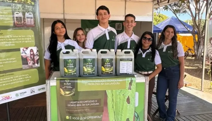 Cinco alunos de escola pública do sertão maranhense usam nim e mamona contra praga do milho e vão à final nacional em Brasília
