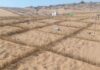 A China domou um deserto com quadrados de palha para salvar uma ferrovia; 70 anos depois, a vegetação cobre 42% da área que era areia pura A China domou um deserto com quadrados de palha para salvar uma ferrovia; 70 anos depois, a vegetação cobre 42% da área que era areia pura
