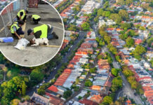 Ninho de formigas-de-fogo achado em contêiner de Sydney põe 10 bairros em alerta e reacende temor de prejuízo de US$ 2 bi ao ano Ninho de formigas-de-fogo achado em contêiner de Sydney põe 10 bairros em alerta e reacende temor de prejuízo de US$ 2 bi ao ano