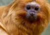 COP17 reúne mais de 200 países em Yerevan para a primeira revisão das 23 metas de 2030, e a conta de proteção ainda não fecha COP17 reúne mais de 200 países em Yerevan para a primeira revisão das 23 metas de 2030, e a conta de proteção ainda não fecha