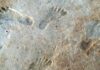 Pegadas de 23 mil anos em lago que secava no Novo México mostram humanos da Era do Gelo em meio a secas e mudanças bruscas de clima Pegadas de 23 mil anos em lago que secava no Novo México mostram humanos da Era do Gelo em meio a secas e mudanças bruscas de clima