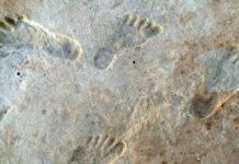 Pegadas de 23 mil anos em lago que secava no Novo México mostram humanos da Era do Gelo em meio a secas e mudanças bruscas de clima Pegadas de 23 mil anos em lago que secava no Novo México mostram humanos da Era do Gelo em meio a secas e mudanças bruscas de clima