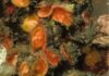 Braquiópodes com fósseis de mais de 500 milhões de anos têm ancestral em comum com briozoários e foronídeos, indica análise inédita Braquiópodes com fósseis de mais de 500 milhões de anos têm ancestral em comum com briozoários e foronídeos, indica análise inédita