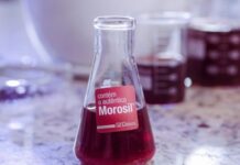 Extrato de laranja moro vendido como suplemento para emagrecer protege o estômago de ratos e cicatriza úlcera crônica como o omeprazol em estudo da UFPA Extrato de laranja moro vendido como suplemento para emagrecer protege o estômago de ratos e cicatriza úlcera crônica como o omeprazol em estudo da UFPA