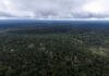Plano Nacional de Logística 2050 inclui açaí, castanha e pirarucu, mas 54 de 112 objetivos ainda miram cargas pesadas Plano Nacional de Logística 2050 inclui açaí, castanha e pirarucu, mas 54 de 112 objetivos ainda miram cargas pesadas