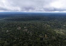 Plano Nacional de Logística 2050 inclui açaí, castanha e pirarucu, mas 54 de 112 objetivos ainda miram cargas pesadas Plano Nacional de Logística 2050 inclui açaí, castanha e pirarucu, mas 54 de 112 objetivos ainda miram cargas pesadas