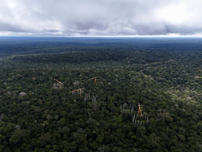 Plano Nacional de Logística 2050 inclui açaí, castanha e pirarucu, mas 54 de 112 objetivos ainda miram cargas pesadas Plano Nacional de Logística 2050 inclui açaí, castanha e pirarucu, mas 54 de 112 objetivos ainda miram cargas pesadas