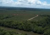 Agropalma cria sistema com dados do INPE e da NASA, vigia focos de calor até 5 km das fazendas e alerta 509 produtores Agropalma cria sistema com dados do INPE e da NASA, vigia focos de calor até 5 km das fazendas e alerta 509 produtores