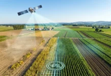 Satélites analisam 83 milhões de pixels em 18 anos e mostram que leis agroambientais melhoraram o solo agrícola no mundo Satélites analisam 83 milhões de pixels em 18 anos e mostram que leis agroambientais melhoraram o solo agrícola no mundo