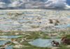 Pegadas de 23 mil anos no deserto do Novo México revelam floresta que virou estepe em cerca de 100 anos Pegadas de 23 mil anos no deserto do Novo México revelam floresta que virou estepe em cerca de 100 anos