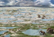 Pegadas de 23 mil anos no deserto do Novo México revelam floresta que virou estepe em cerca de 100 anos Pegadas de 23 mil anos no deserto do Novo México revelam floresta que virou estepe em cerca de 100 anos