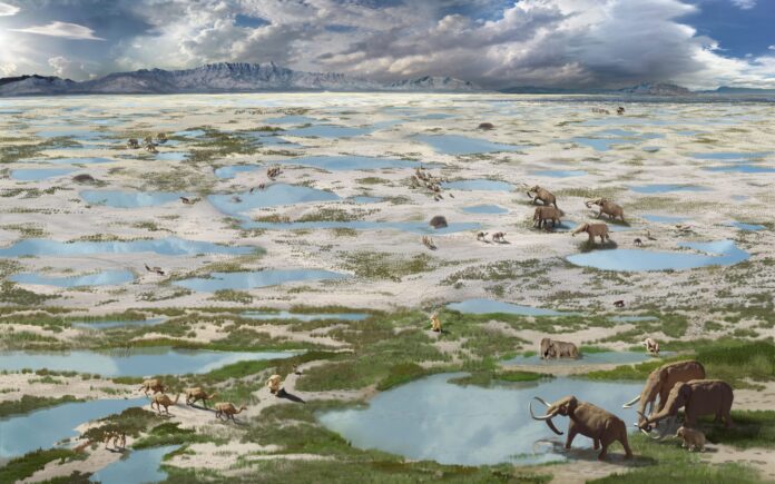 Pegadas de 23 mil anos no deserto do Novo México revelam floresta que virou estepe em cerca de 100 anos Pegadas de 23 mil anos no deserto do Novo México revelam floresta que virou estepe em cerca de 100 anos