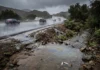 Chuva em estradas da Califórnia leva poluente de pneus a rios e riachos em níveis acima do letal para filhotes de salmão Chuva em estradas da Califórnia leva poluente de pneus a rios e riachos em níveis acima do letal para filhotes de salmão