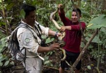 Renda básica sem condições paga R$ 2,67 por dia a 211 indígenas no Peru e reduz fome e migração por trabalho em dois anos Renda básica sem condições paga R$ 2,67 por dia a 211 indígenas no Peru e reduz fome e migração por trabalho em dois anos