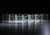 Pesquisadores holandeses cobrem tira de gel de 2 cm com microalgas e criam braço que dobra com luz e levanta objetos Pesquisadores holandeses cobrem tira de gel de 2 cm com microalgas e criam braço que dobra com luz e levanta objetos