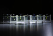 Pesquisadores holandeses cobrem tira de gel de 2 cm com microalgas e criam braço que dobra com luz e levanta objetos Pesquisadores holandeses cobrem tira de gel de 2 cm com microalgas e criam braço que dobra com luz e levanta objetos
