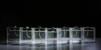 Pesquisadores holandeses cobrem tira de gel de 2 cm com microalgas e criam braço que dobra com luz e levanta objetos Pesquisadores holandeses cobrem tira de gel de 2 cm com microalgas e criam braço que dobra com luz e levanta objetos