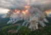 Amazônia emitiu em média 1,17 bilhão de toneladas de CO₂ a mais do que absorveu por ano entre 2010 e 2024, e o fogo é a principal fonte Amazônia emitiu em média 1,17 bilhão de toneladas de CO₂ a mais do que absorveu por ano entre 2010 e 2024, e o fogo é a principal fonte