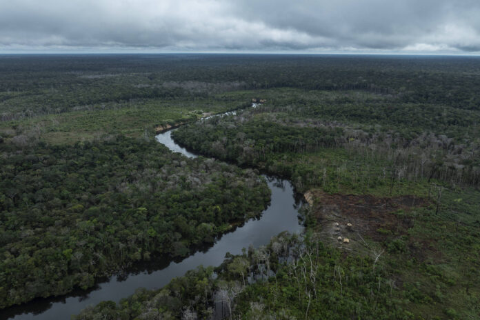 Holanda promete US$ 500 milhões em dez anos ao fundo de florestas lançado pelo Brasil e leva o caixa a US$ 7,8 bilhões Holanda promete US$ 500 milhões em dez anos ao fundo de florestas lançado pelo Brasil e leva o caixa a US$ 7,8 bilhões