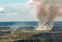 Seca e fogo deixam 94 cidades do Amazonas, Pará e Acre em emergência, e governo libera R$ 68,6 milhões Seca e fogo deixam 94 cidades do Amazonas, Pará e Acre em emergência, e governo libera R$ 68,6 milhões