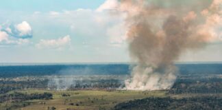 Seca e fogo deixam 94 cidades do Amazonas, Pará e Acre em emergência, e governo libera R$ 68,6 milhões Seca e fogo deixam 94 cidades do Amazonas, Pará e Acre em emergência, e governo libera R$ 68,6 milhões