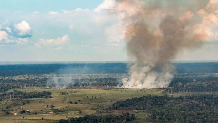 Seca e fogo deixam 94 cidades do Amazonas, Pará e Acre em emergência, e governo libera R$ 68,6 milhões Seca e fogo deixam 94 cidades do Amazonas, Pará e Acre em emergência, e governo libera R$ 68,6 milhões